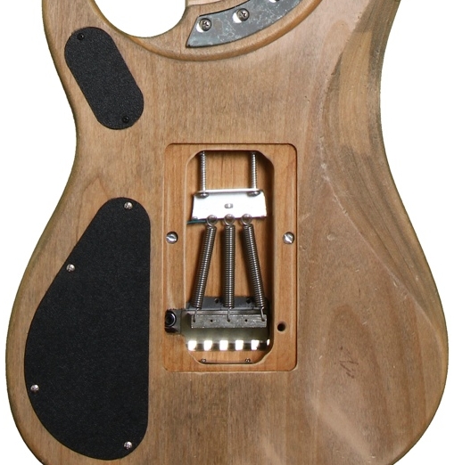 washburn_N4_authentic_11_cle826cce.jpg