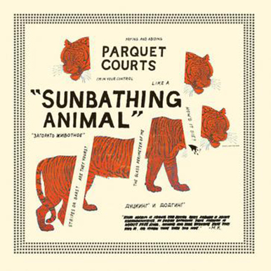 35._Parquet_Courts_-_《Sunbathing_Animal》_.jpg